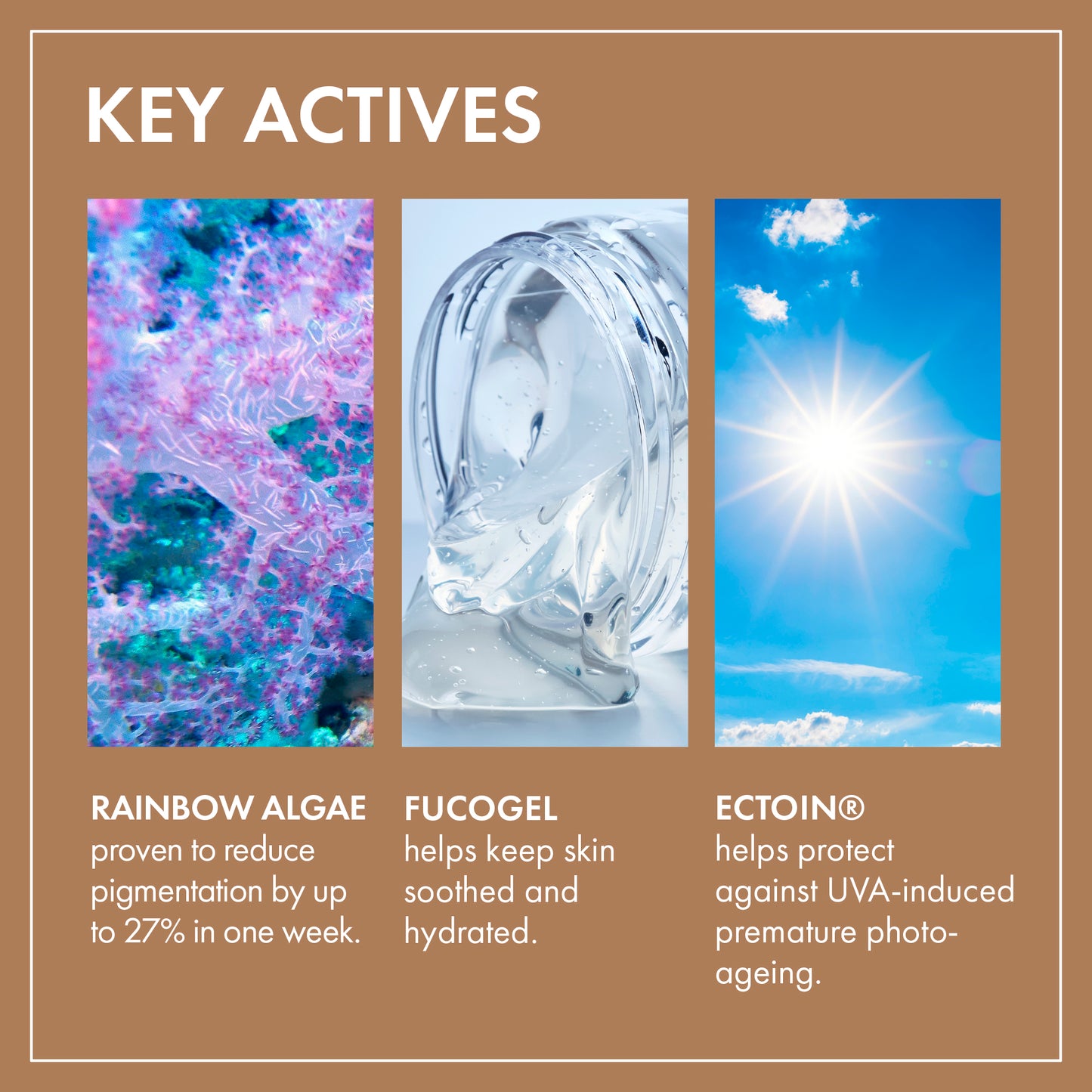 Ultrasun Face Fluid Anti-Pigmentation Tinted SPF50+